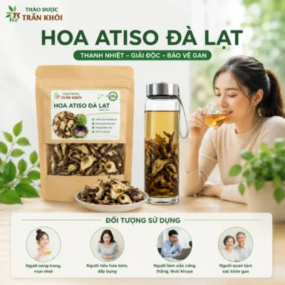 Ai cần sử dụng atiso đà lạt thảo dược Trần Khôi