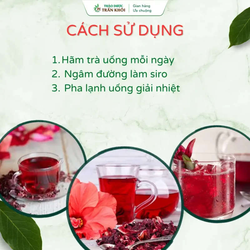 cách sử dụng hoa atiso đỏ thảo dược trần khôi