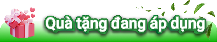 Quà tặng hot