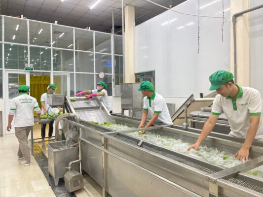 quy trình sản xuất thảo dược