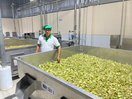 Nhà máy sản xuất thảo dược