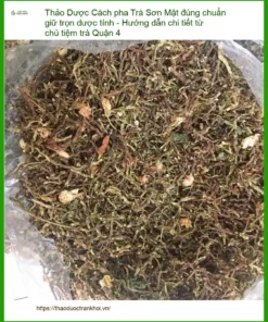 Cách pha Trà Sơn Mật đúng chuẩn - Địa chỉ Cung cấp Giao nhanh TPHCM