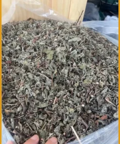Chè Dây Cao Bằng 500g giá rẻ cho sinh viên - Địa chỉ bán giao nhanh TPHCM