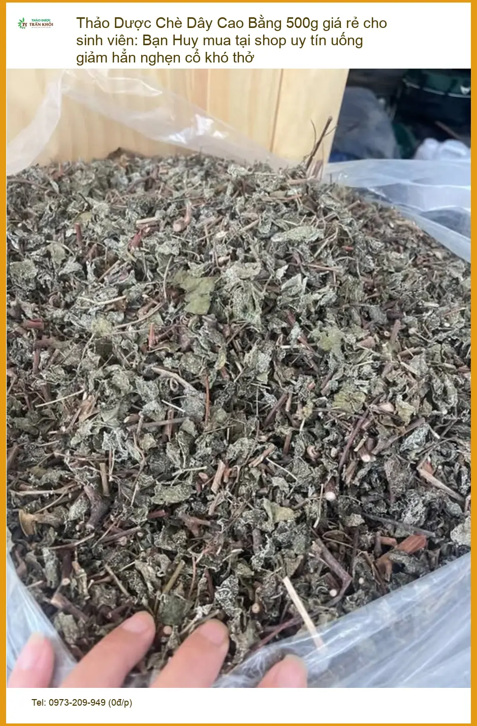 Chè Dây Cao Bằng 500g giá rẻ cho sinh viên - Địa chỉ bán giao nhanh TPHCM
