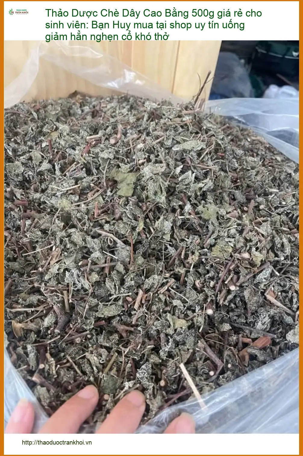 Chè Dây Cao Bằng 500g giá rẻ cho sinh viên - Đơn vị Sỉ lẻ Giao nhanh TPHCM