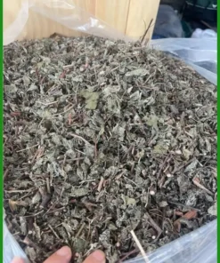 Chè Dây Cao Bằng 500g giá rẻ cho sinh viên: Bạn Huy mua tại shop uy tín uống giảm hẳn nghẹn cổ khó thở