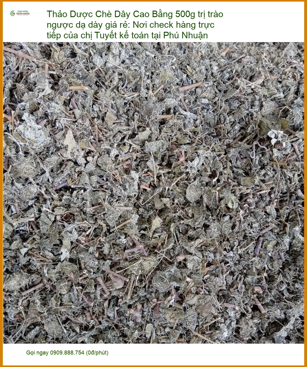 Chè Dây Cao Bằng 500g trị trào ngược dạ dày - Địa chỉ Bán Giao nhanh TPHCM