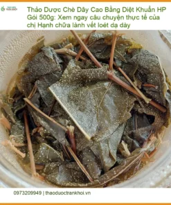 Chè Dây Cao Bằng Diệt Khuẩn HP Gói 500g - Địa chỉ Bán Giao nhanh TPHCM