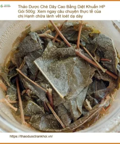 Chè Dây Cao Bằng Diệt Khuẩn HP Gói 500g - Địa chỉ bán giao nhanh tại TPHCM