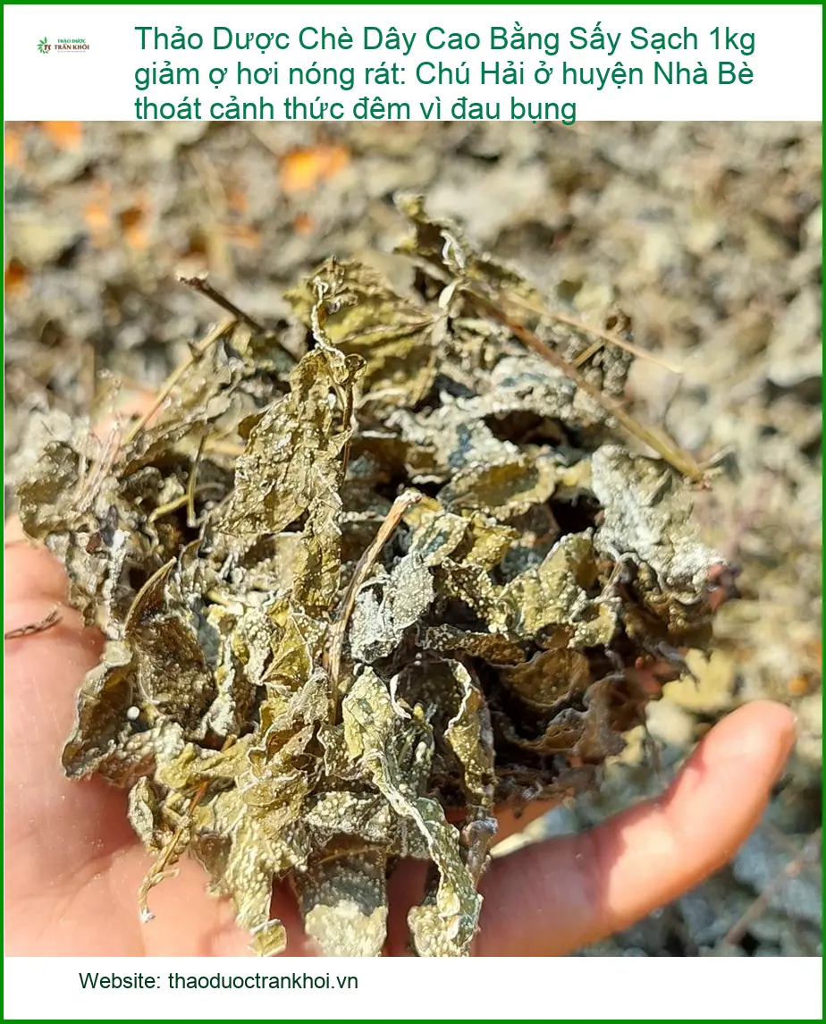 Chè Dây Cao Bằng Sấy Sạch 1kg giảm ợ hơi nóng rát - Địa chỉ Bán Giao nhanh