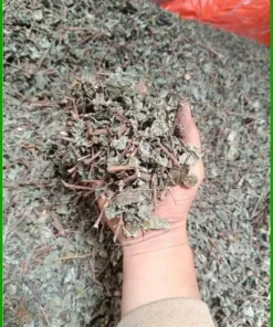 Chè Dây Khô Nguyên Chất Giảm Ợ Hơi Gói 500g - Địa chỉ bán giao nhanh TPHCM