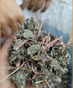 Chè Dây Khô Sấy Sạch Nguyên Cành Gói 500g - Địa chỉ bán có sẵn TPHCM