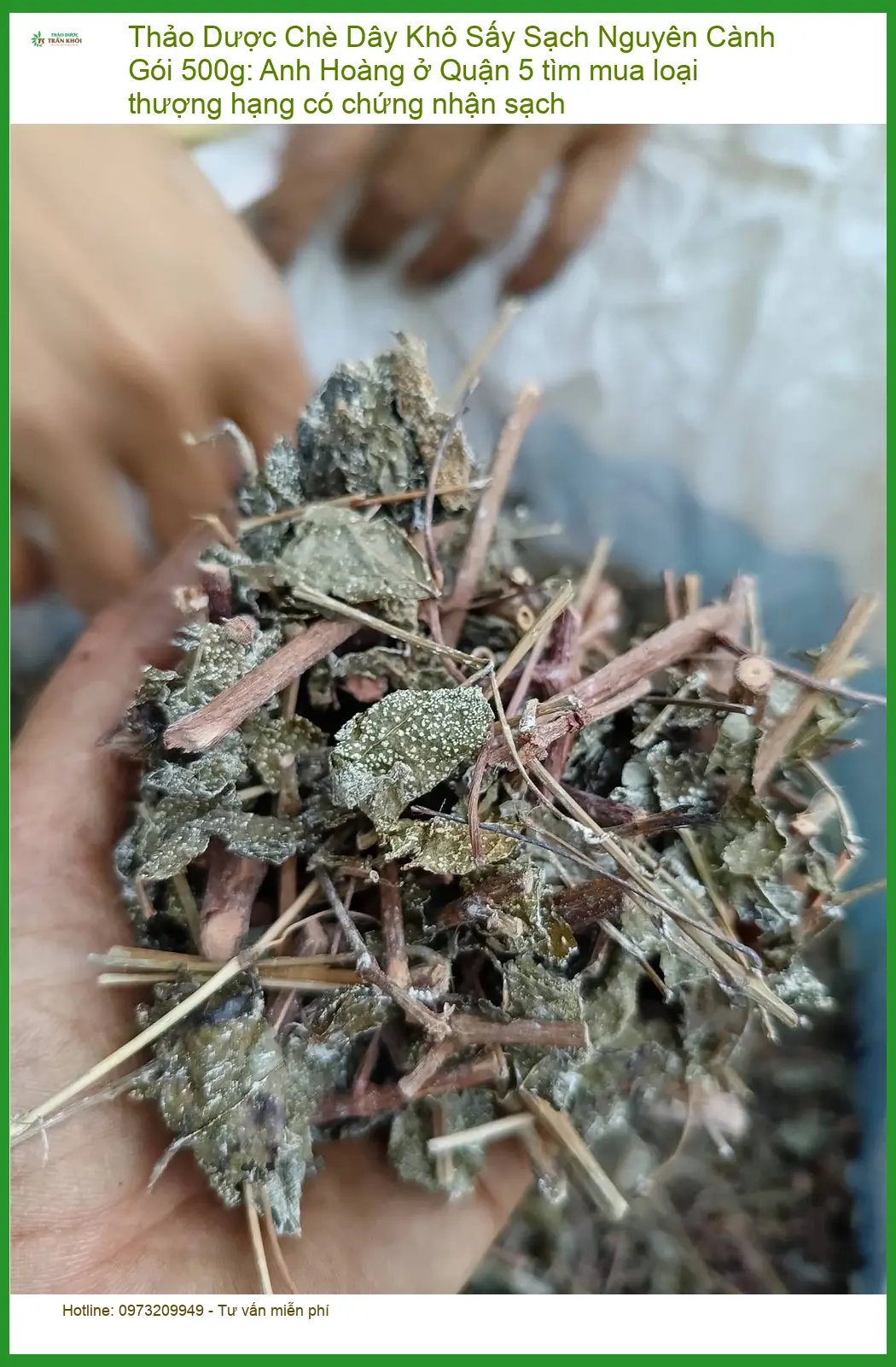 Chè Dây Khô Sấy Sạch Nguyên Cành Gói 500g - Địa chỉ bán giao nhanh TPHCM