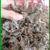 Chè Dây Rừng Nguyên Phấn Khô Gói 1kg - Địa chỉ bán giao nhanh uy tín tại TPHCM