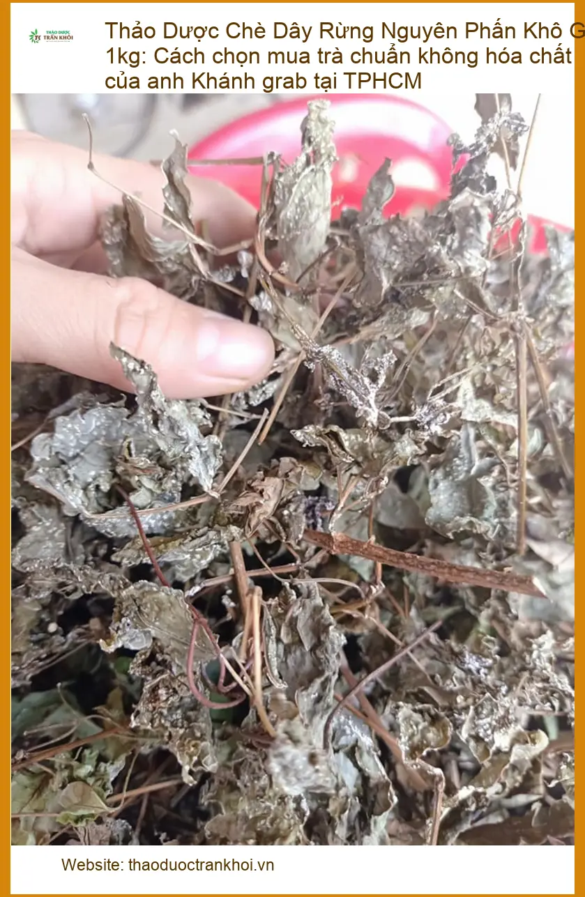 Chè Dây Rừng Nguyên Phấn Khô Gói 1kg - Địa chỉ bán Chè Dây giao nhanh tại TPHCM