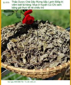 Chè Dây Rừng Sấy Lạnh 500g trị viêm loét tá tràng - Địa chỉ bán giao nhanh