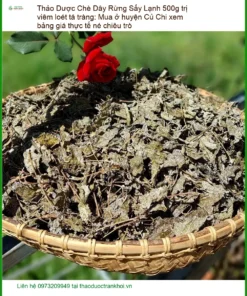 Chè Dây Rừng Sấy Lạnh 500g trị viêm loét tá tràng - Địa chỉ Bán Giao nhanh