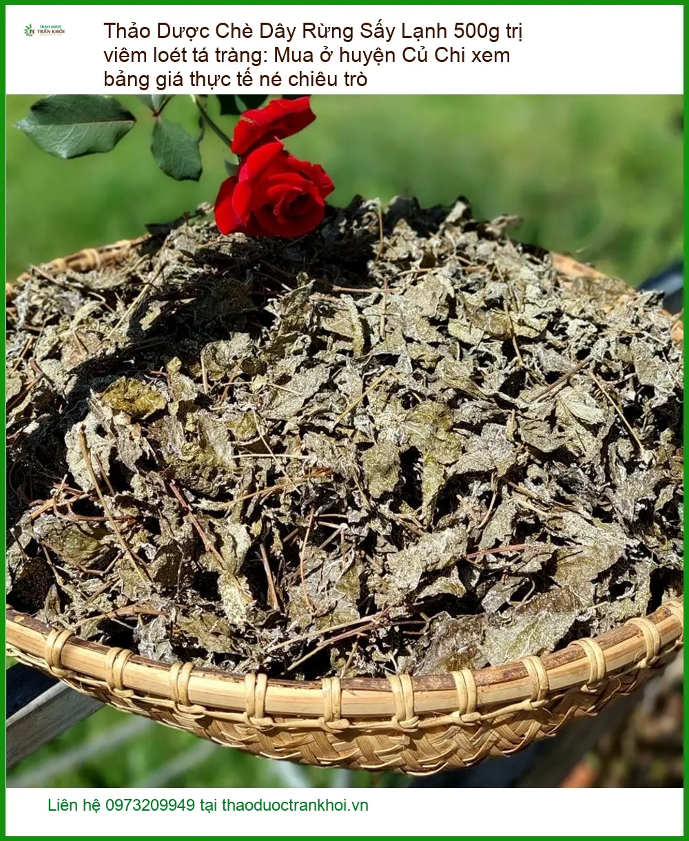 Chè Dây Rừng Sấy Lạnh 500g trị viêm loét tá tràng - Địa chỉ Bán Giao nhanh