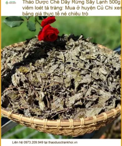 Chè Dây Rừng Sấy Lạnh 500g trị viêm loét tá tràng - Bán Giao nhanh TPHCM