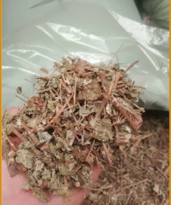 Chè Dây Sấy Khô Hút Chân Không Gói 500g - Địa chỉ bán giao nhanh TPHCM