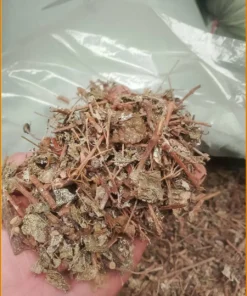 Chè Dây Sấy Khô Hút Chân Không 500g trị trào ngược - Giao nhanh TPHCM