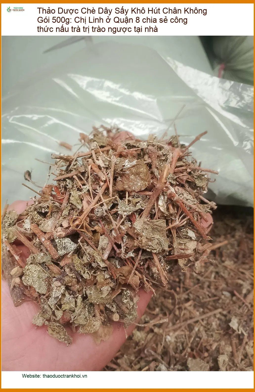 Chè Dây Sấy Khô Hút Chân Không 500g trị trào ngược - Giao nhanh TPHCM