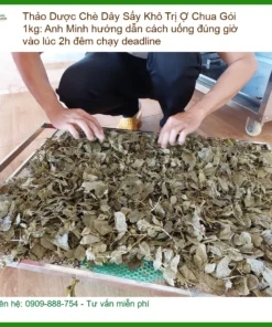 Chè Dây Sấy Khô Trị Ợ Chua Gói 1kg - Địa chỉ Bán Giao nhanh TPHCM