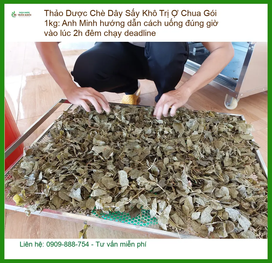 Chè Dây Sấy Khô Trị Ợ Chua Gói 1kg - Địa chỉ Bán Giao nhanh TPHCM