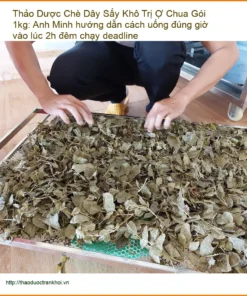 Chè Dây Sấy Khô Trị Ợ Chua Gói 1kg - Đơn vị Cung cấp Có sẵn tại TPHCM