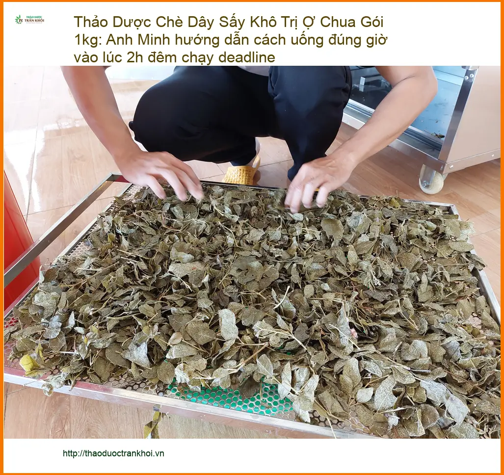 Chè Dây Sấy Khô Trị Ợ Chua Gói 1kg - Đơn vị Cung cấp Có sẵn tại TPHCM