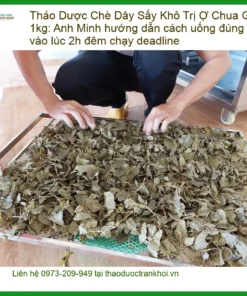 Chè Dây Sấy Khô Trị Ợ Chua Gói 1kg - Đơn vị cung cấp sỉ lẻ TPHCM