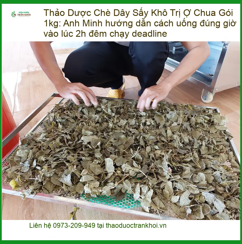 Chè Dây Sấy Khô Trị Ợ Chua Gói 1kg - Đơn vị cung cấp sỉ lẻ TPHCM