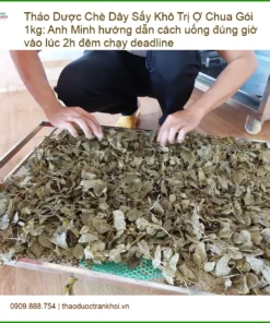 Chè Dây Sấy Khô Trị Ợ Chua Gói 1kg - Đơn vị Cung cấp Có sẵn TPHCM
