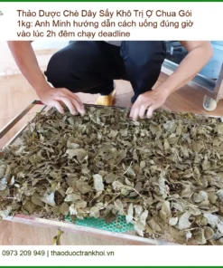 Chè Dây Sấy Khô Trị Ợ Chua Gói 1kg - Địa chỉ bán giao nhanh TPHCM
