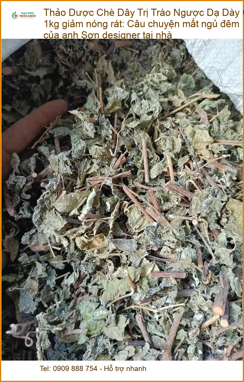 Chè Dây Trị Trào Ngược Dạ Dày Gói 1kg giảm nóng rát - Địa chỉ Bán TPHCM