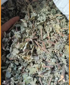 Chè Dây Trị Trào Ngược Dạ Dày 1kg giảm nóng rát - Có sẵn TPHCM