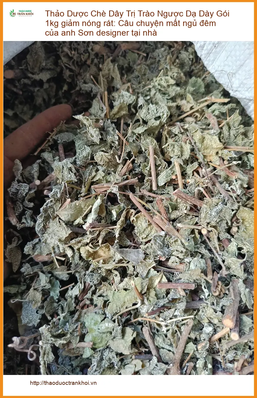 Chè Dây Trị Trào Ngược Dạ Dày 1kg giảm nóng rát - Có sẵn TPHCM