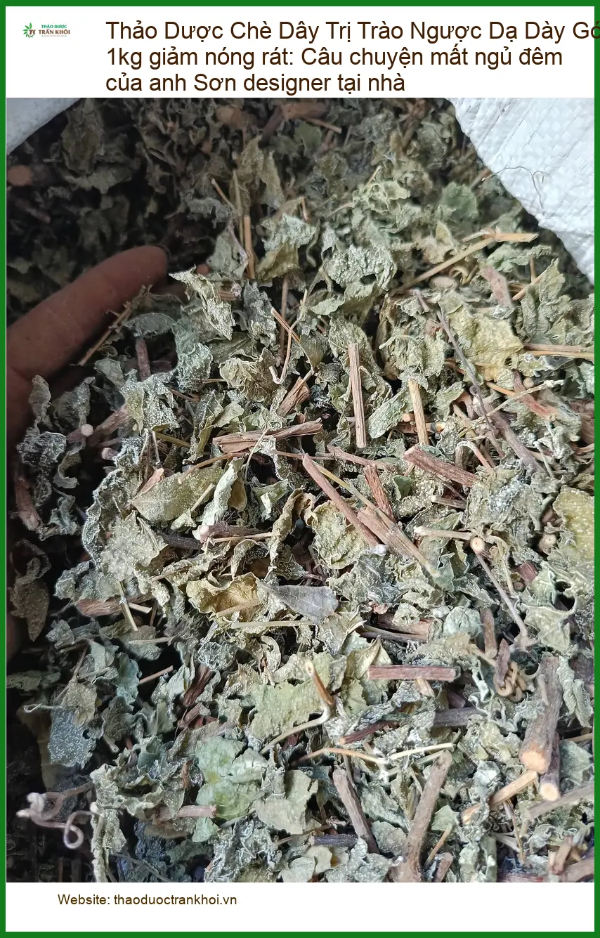 Chè Dây Trị Trào Ngược Dạ Dày Gói 1kg - Địa chỉ bán giao nhanh TPHCM