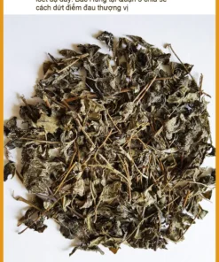 Combo 2 Gói Chè Dây 500g trị viêm loét dạ dày - Giao nhanh TPHCM