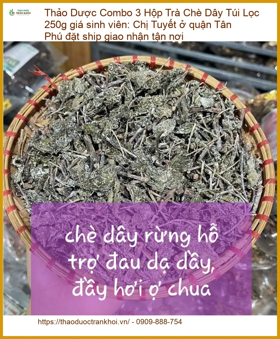 Combo 3 Hộp Trà Chè Dây Túi Lọc 250g - Địa chỉ TPHCM Bán sỉ lẻ Giao nhanh