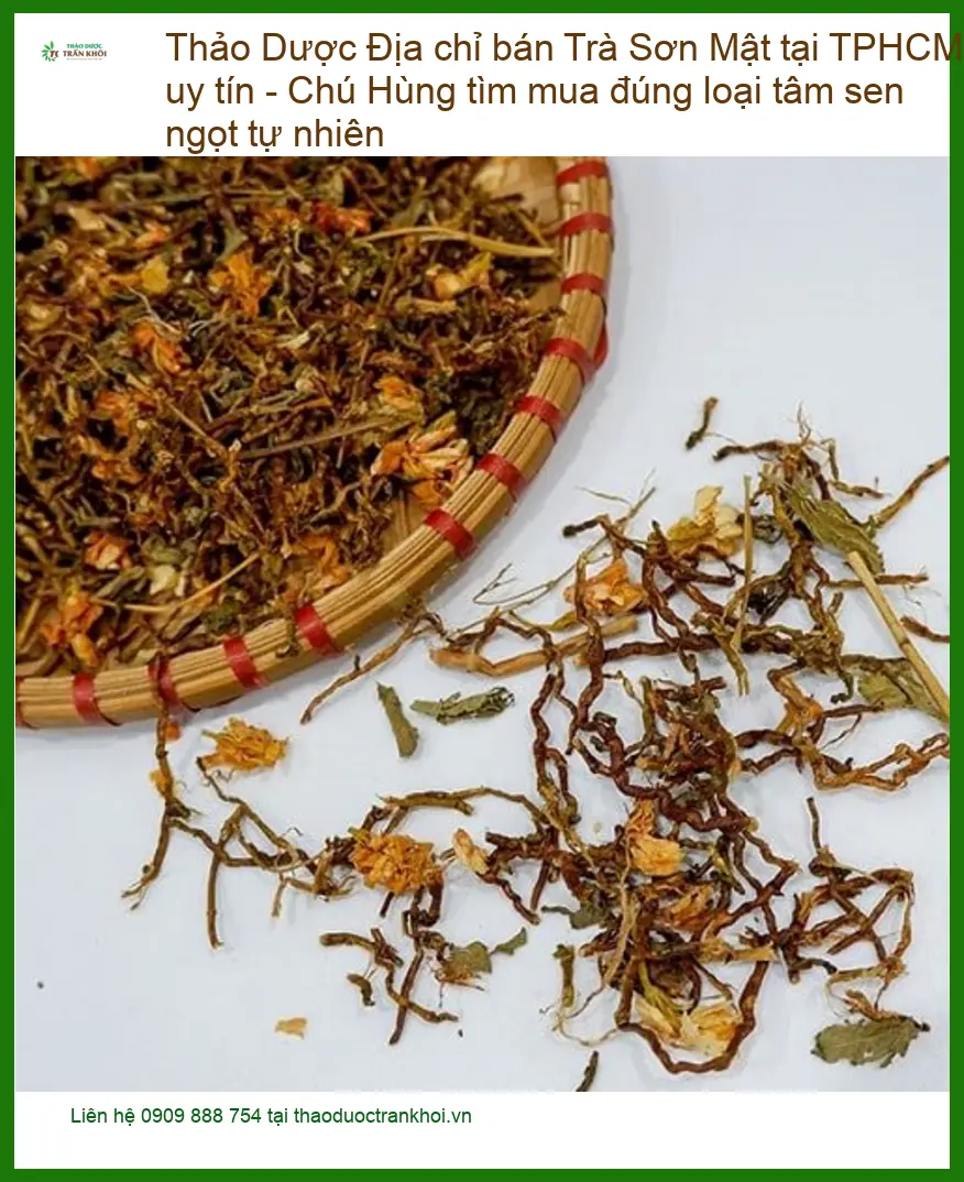 Địa chỉ bán Trà Sơn Mật tại TPHCM uy tín - Đơn vị Cung cấp Có sẵn