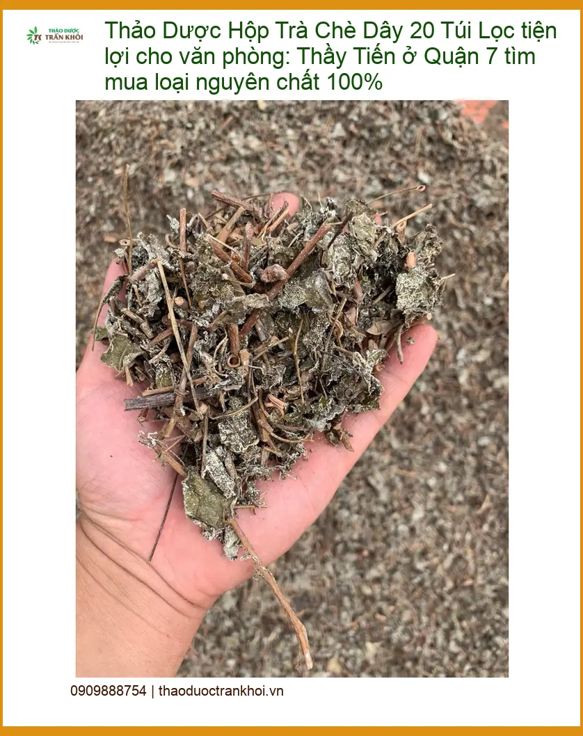 Hộp Trà Chè Dây 20 Túi Lọc nguyên chất 100% tại Quận 7 - Giao nhanh TPHCM