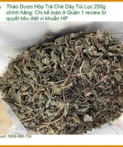 Hộp Trà Chè Dây Túi Lọc 250g chính hãng - Đơn vị Cung cấp Có sẵn TPHCM