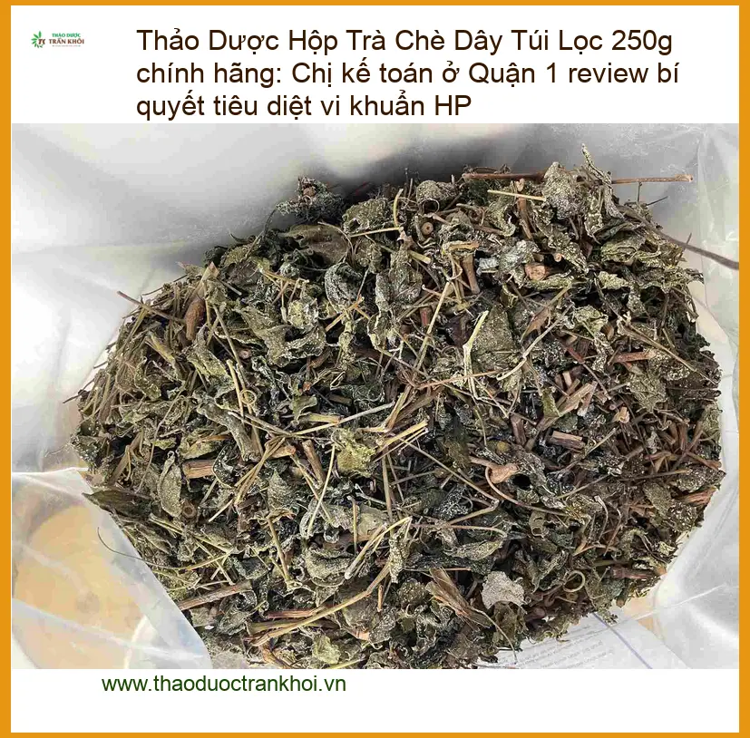 Hộp Trà Chè Dây Túi Lọc 250g chính hãng tại TPHCM - Địa chỉ Bán Giao nhanh