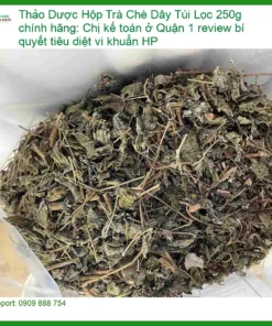 Hộp Trà Chè Dây Túi Lọc 250g chính hãng - Đơn vị Cung cấp Có sẵn TPHCM