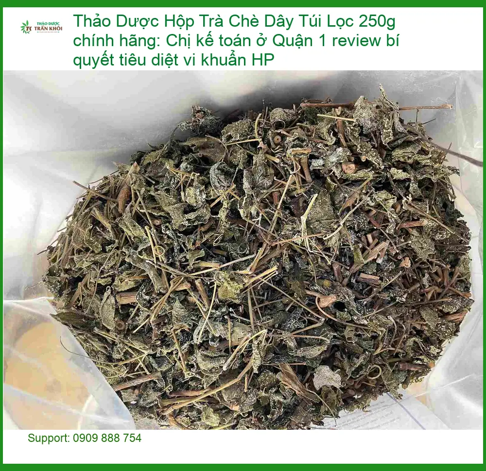 Hộp Trà Chè Dây Túi Lọc 250g chính hãng - Đơn vị Cung cấp Có sẵn TPHCM