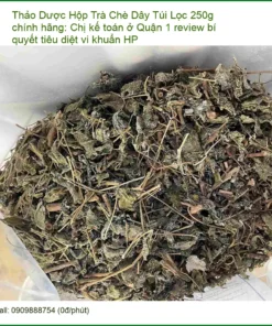 Hộp Trà Chè Dây Túi Lọc 250g chính hãng - Đơn vị Cung cấp Có sẵn TPHCM