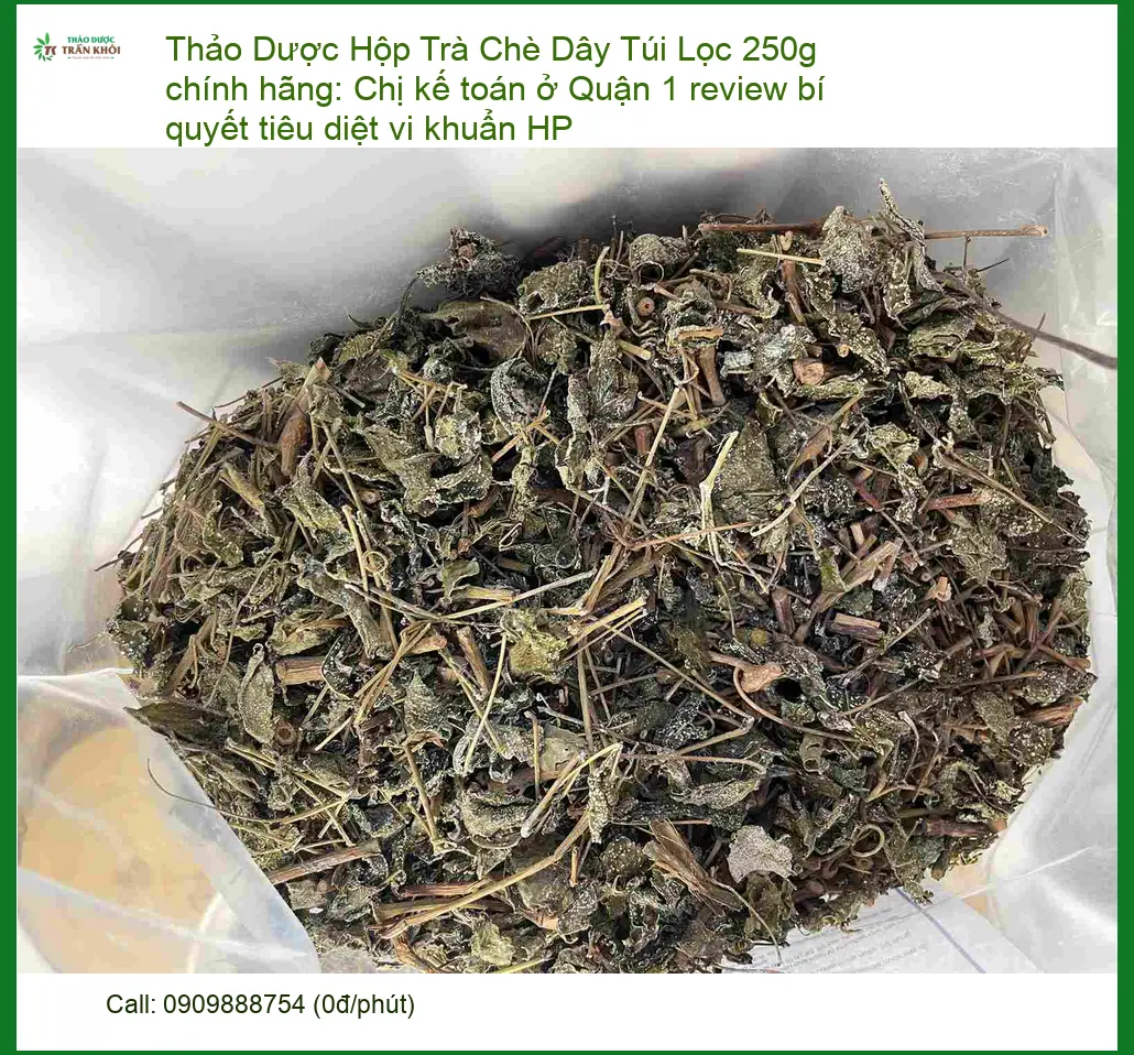 Hộp Trà Chè Dây Túi Lọc 250g chính hãng - Đơn vị Cung cấp Có sẵn TPHCM