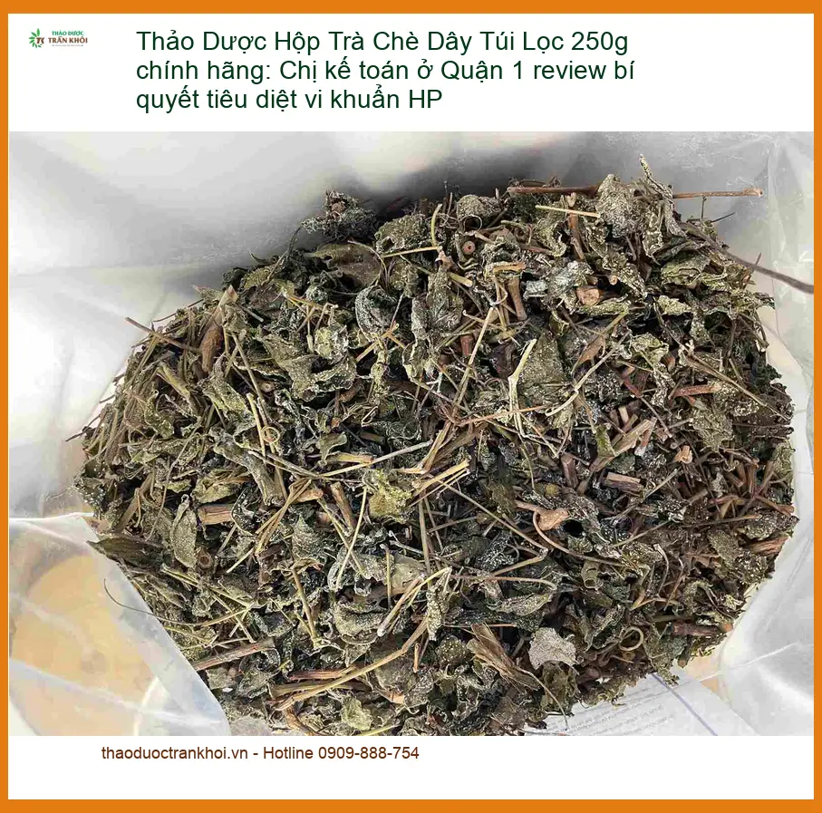 Hộp Trà Chè Dây Túi Lọc 250g chính hãng - Địa chỉ Bán Giao nhanh TPHCM