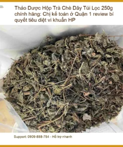 Hộp Trà Chè Dây Túi Lọc 250g chính hãng - Đơn vị Cung cấp Có sẵn TPHCM